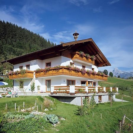 Ferienhaus Rosi ザンクト・マルティン・アム・テンネンゲビルゲ エクステリア 写真